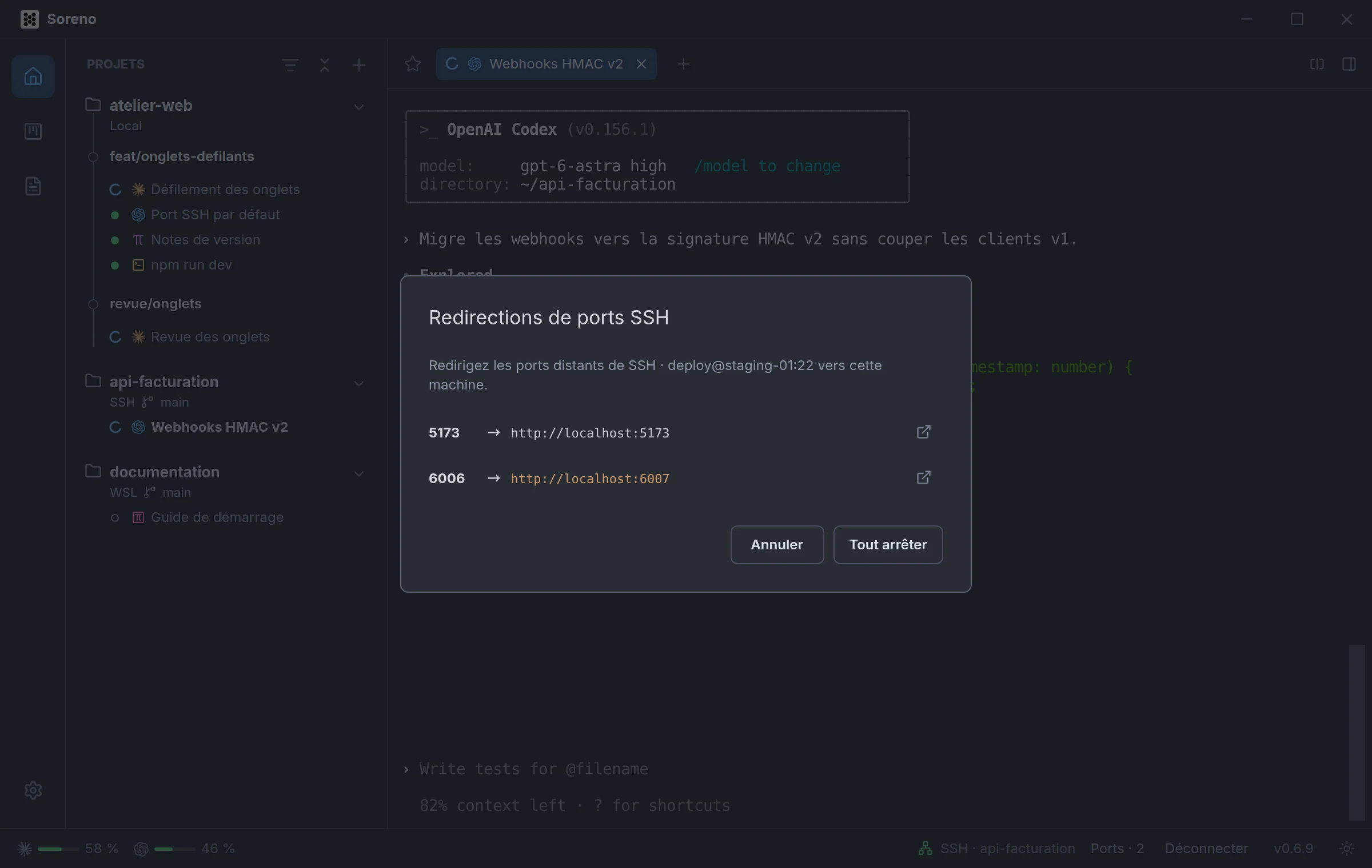 La fenêtre Redirections de ports SSH : le port 5173 du serveur est ouvert sur http://localhost:5173 et le port 6006 sur http://localhost:6007, avec le bouton Tout arrêter.